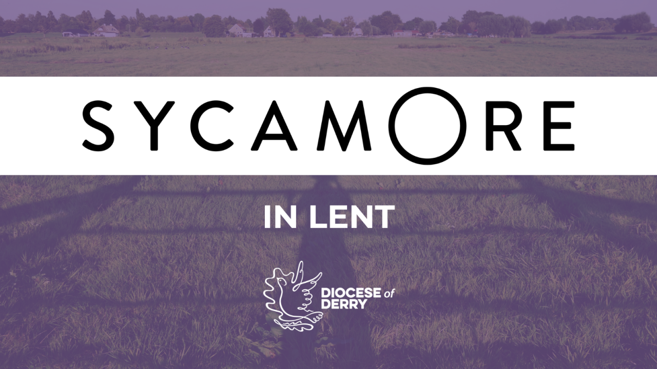 Sycamore in Lent – Simple Parish Pathways for Prayer and Reflection
