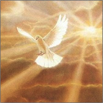 Diocesan Mass for Deceased Children and Young People - Sunday 11th November - St Eugene's Cathedral, Derry